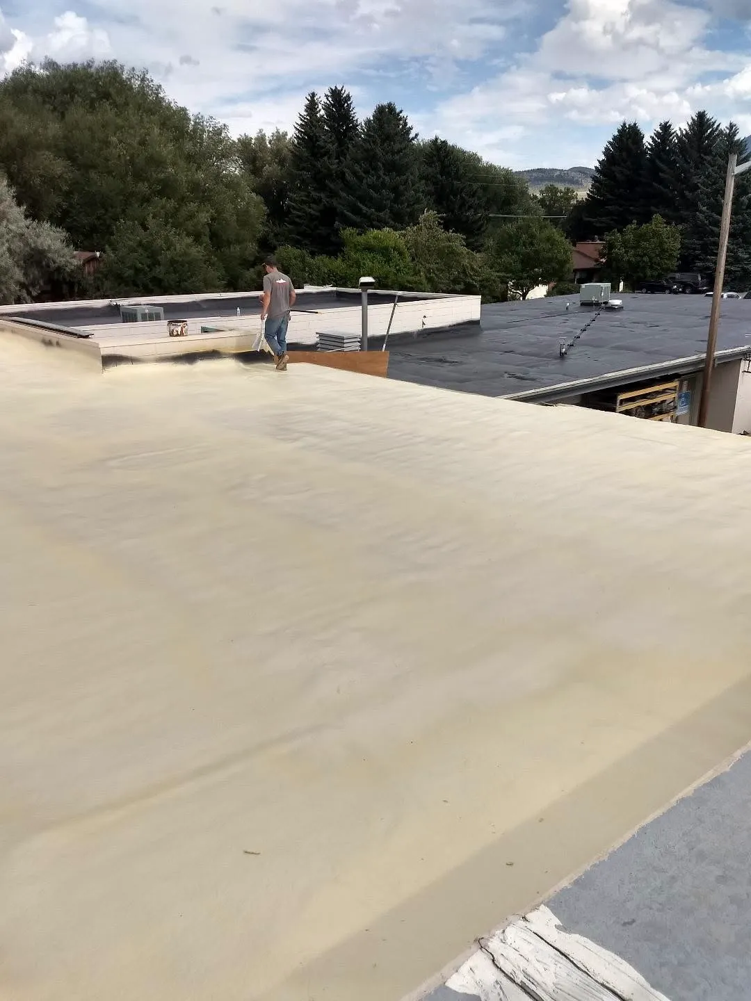 Flat Roofing Services